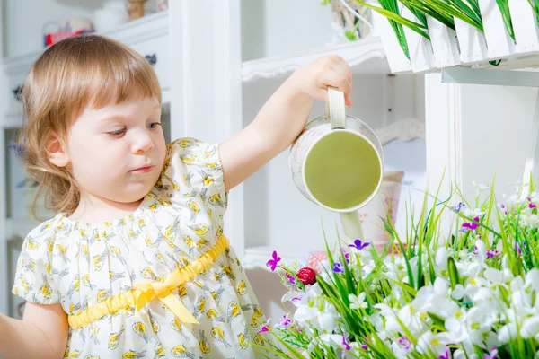Kleines Mädchen gießt Blumen — Stockfoto