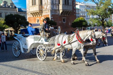 Krakow 'daki ana meydanda at arabaları