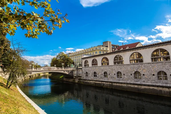 Fiume Lubiana in centro — Foto Stock