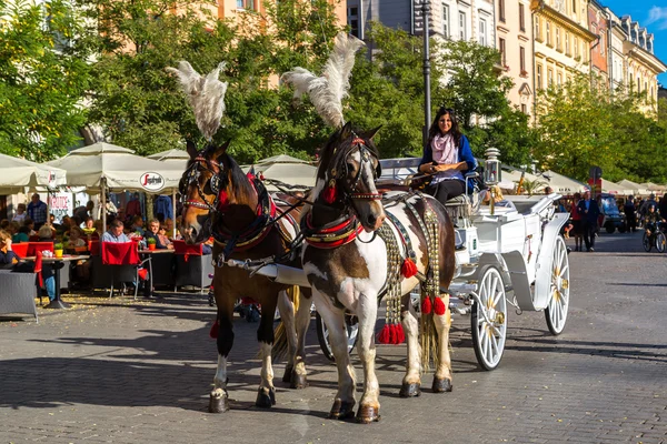 Horse carriages at main square in Krakow — Stock Photo, Image