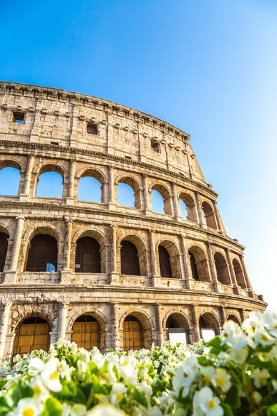 Yaz günü Roma'daki Colosseum — Stok fotoğraf