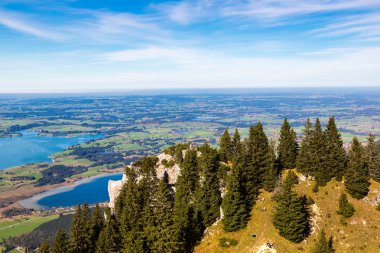 Neuschwanstein yanında yeşil alanları