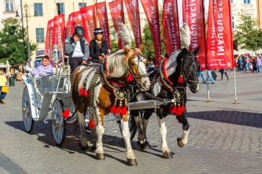 Krakow 'daki ana meydanda at arabaları
