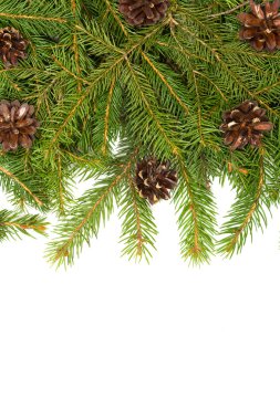 Noel arkaplanı. Eve çerçevesi