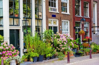 amsterdam'ın güzel evde