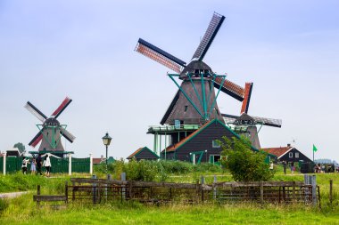 Hollanda'da Rüzgar değirmenleri