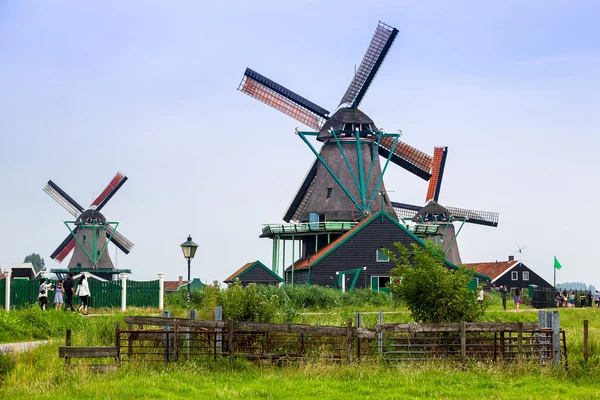 Hollanda'da Rüzgar değirmenleri — Stok fotoğraf