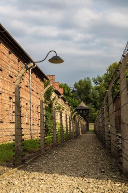 Auschwitz Toplama Kampı