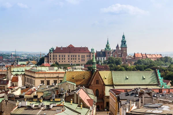Polonya, Wawel Katedrali — Stok fotoğraf