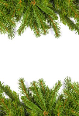 Beyaz arkaplanda izole edilmiş Noel yeşili çerçeve