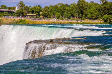 Amerika 'nın Niagara Şelalesi' ndeki Amerikan Şelalesi manzarası