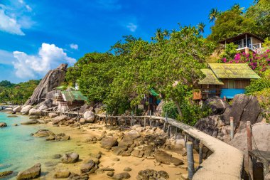 Taa Toh tropik plajı Koh Tao Adası, Tayland