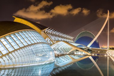 Valencia Sanat ve Bilim Şehri.