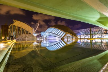Valencia Sanat ve Bilim Şehri.