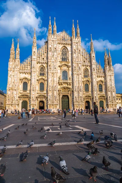 Milano Katedrali'ne, Duomo — Stok fotoğraf