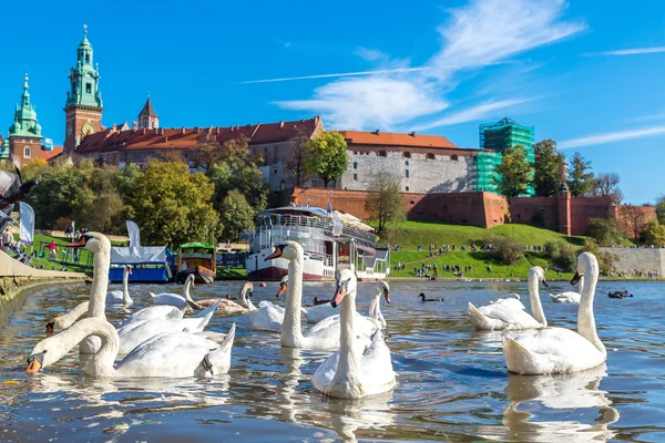 Wawel Κάστρο στην Κρακοβία — Φωτογραφία Αρχείου