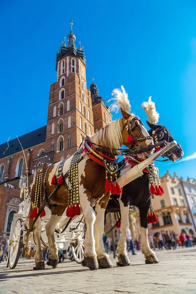 Carruaje de caballos en la plaza principal de Cracovia — Foto de Stock