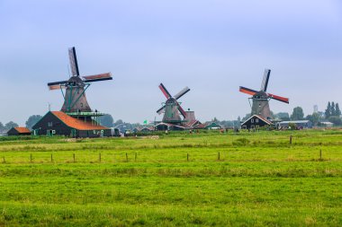 Hollanda'da Rüzgar değirmenleri