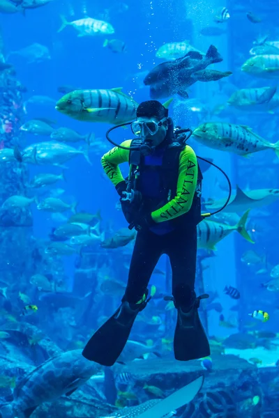 Huge aquarium in Dubai — Stock Photo, Image