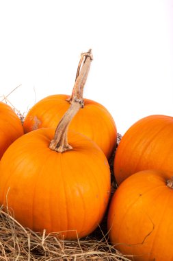 saman üzerinde kabaklar