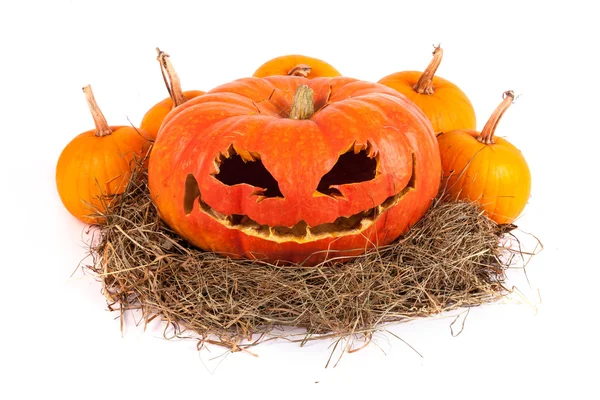 Halloween pumpkin on hay — Stock Photo, Image