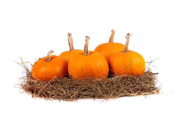 Pumpkins with straw on hay stack — Stock Photo, Image