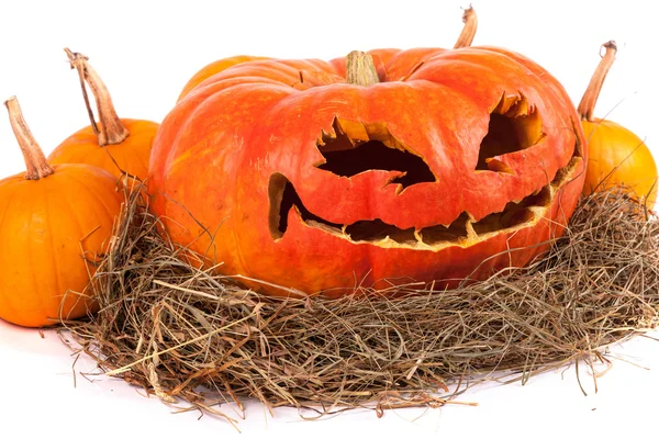 Halloween pumpkin on hay — Stock Photo, Image