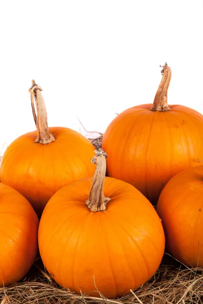 Pumpkins on hay — Stock Photo, Image