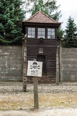 Auschwitz Toplama Kampı