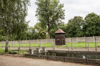 Auschwitz Toplama Kampı