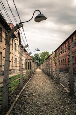 Auschwitz Toplama Kampı