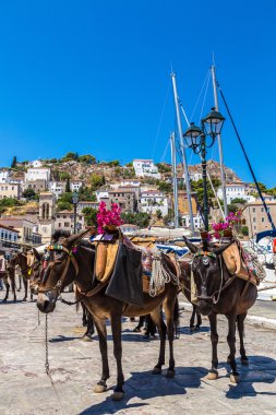 Hidra Adası Yunanistan
