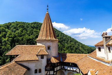 içinde transylvania Bran Şatosu
