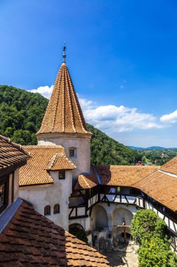 içinde transylvania Bran Şatosu