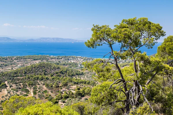 Aegina Adası'nın panoramik manzara — Stok fotoğraf
