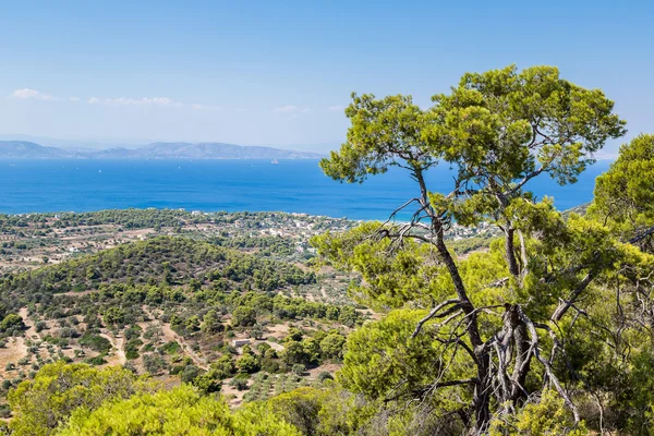 Panorámás tájat a Aegina sziget — Stock Fotó