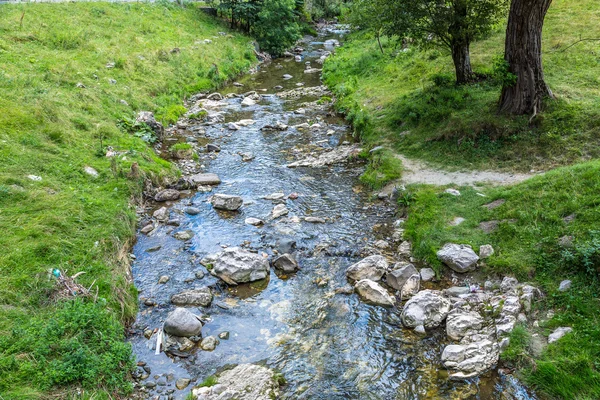 Mountain river in Transylvania — Stock Photo, Image