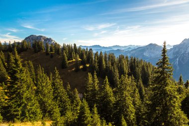 Alpler ve forestin yaz günü Almanya
