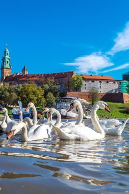 Krakow 'daki Wawel Kalesi
