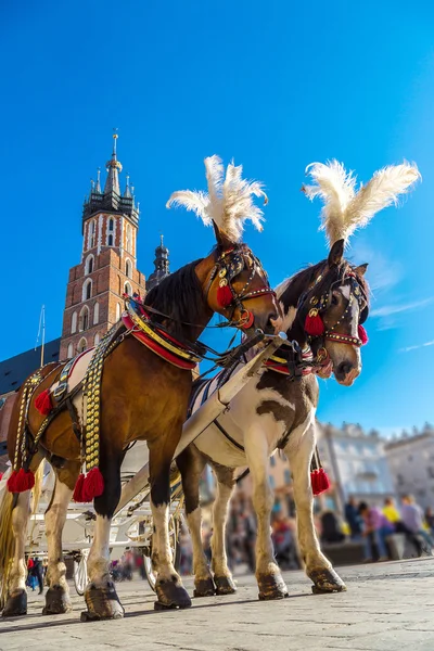 Carruaje de caballos en la plaza principal de Cracovia —  Fotos de Stock