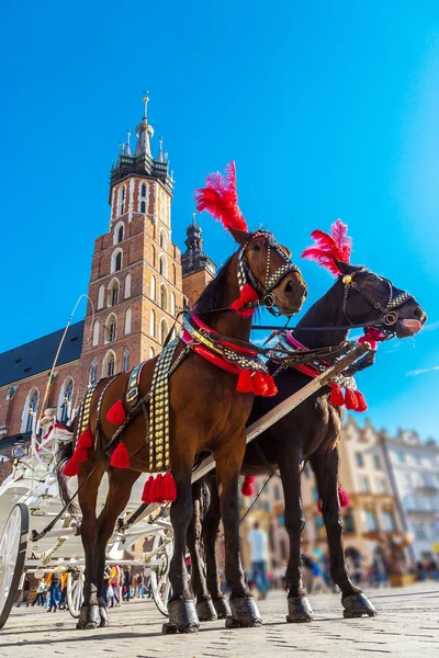 Carruaje de caballos en la plaza principal de Cracovia — Foto de Stock