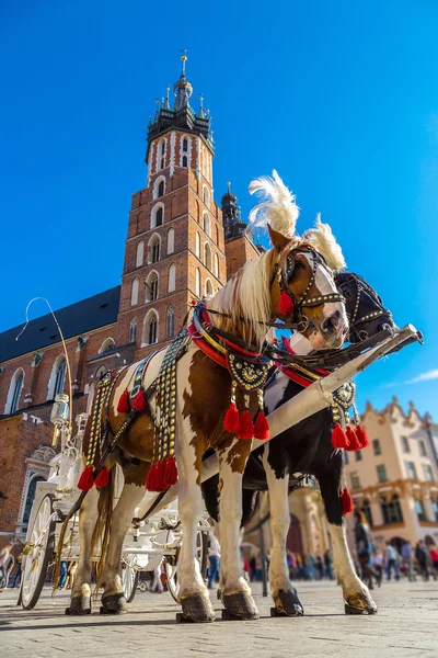Carruaje de caballos en la plaza principal de Cracovia —  Fotos de Stock
