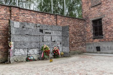 Auschwitz Toplama Kampı