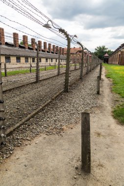 Auschwitz Toplama Kampı