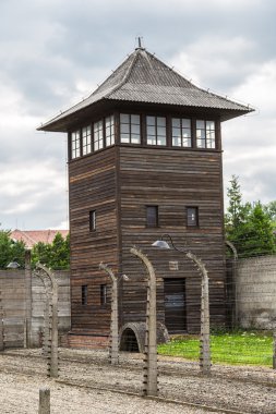 Auschwitz Toplama Kampı