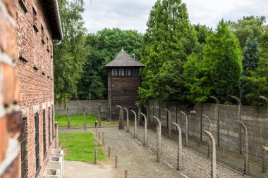 Auschwitz Toplama Kampı