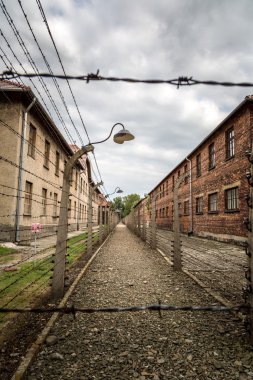 Auschwitz Toplama Kampı