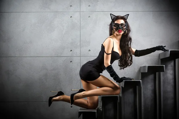 Kedi kadın kıyafetli seksi kadın — Stok fotoğraf
