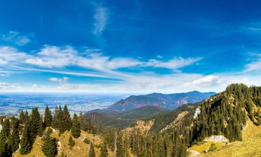 Alpler ve yaz günü ormanda Almanya