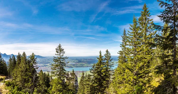 Alpes et forêt en journée d'été en Allemagne — Photo